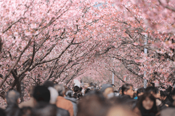 Lead nurturing : agir sur la confiance avec vos prospects