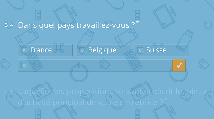questionnaire-persona